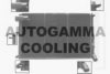 AUTOGAMMA 100222 Radiator, engine cooling
